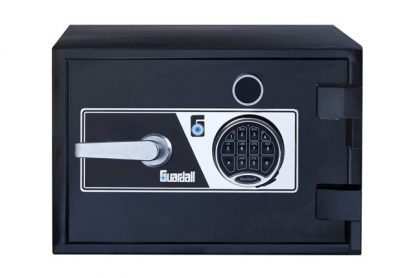 Guardall Safe BFG100-S3