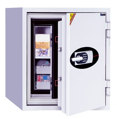 Guardall GDF DT2825EH Data and Record Protection